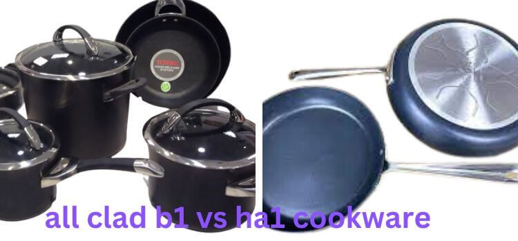 All Clad B1 vs HA1