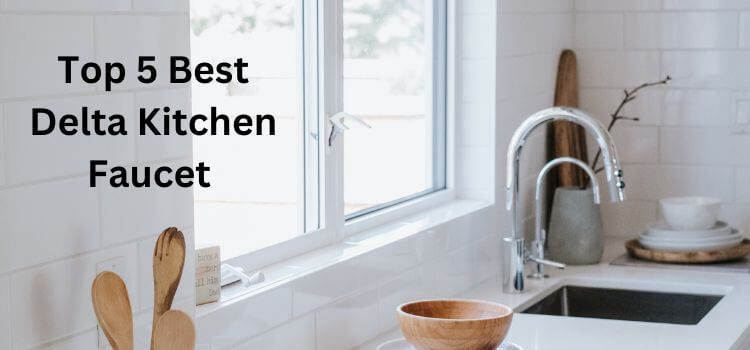 Best Delta Kitchen Faucet
