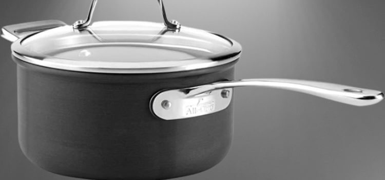 All-Clad B1 Review