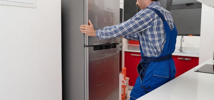 LG vs Samsung Refrigerator