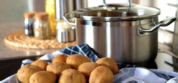 Bergner Cookware Review