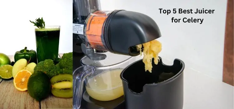 Best Juicer for Celery