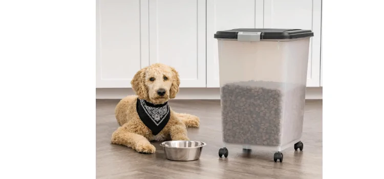 decorative dog food storage containers